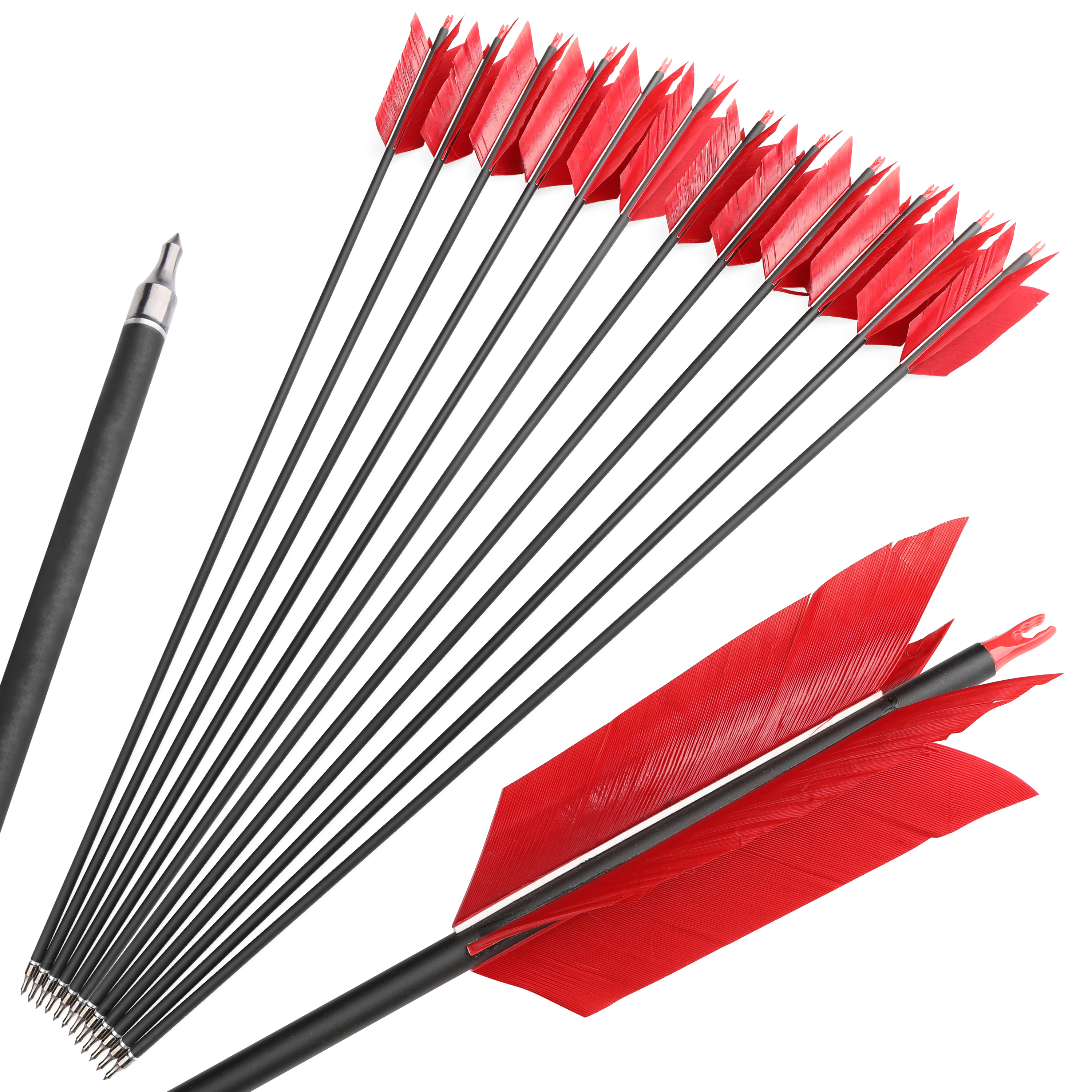 Arrows 31.5" with 4" Feathers, 500 Spine, Carbon Shaft – 100 Grain Field Points