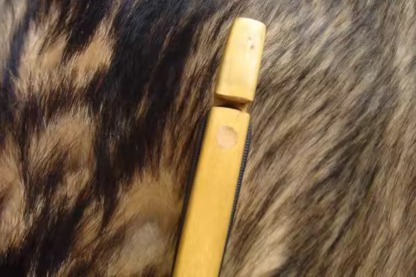 Ali Archery Mongolian Bow – MG-1 Model