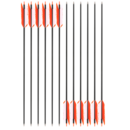 Arrows 31.5" with 4" Feathers, 500 Spine, Carbon Shaft – 100 Grain Field Points