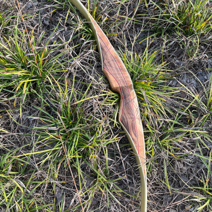 Traditional Recurve Bow Set 30-60lbs Archery Hunting Longbow 