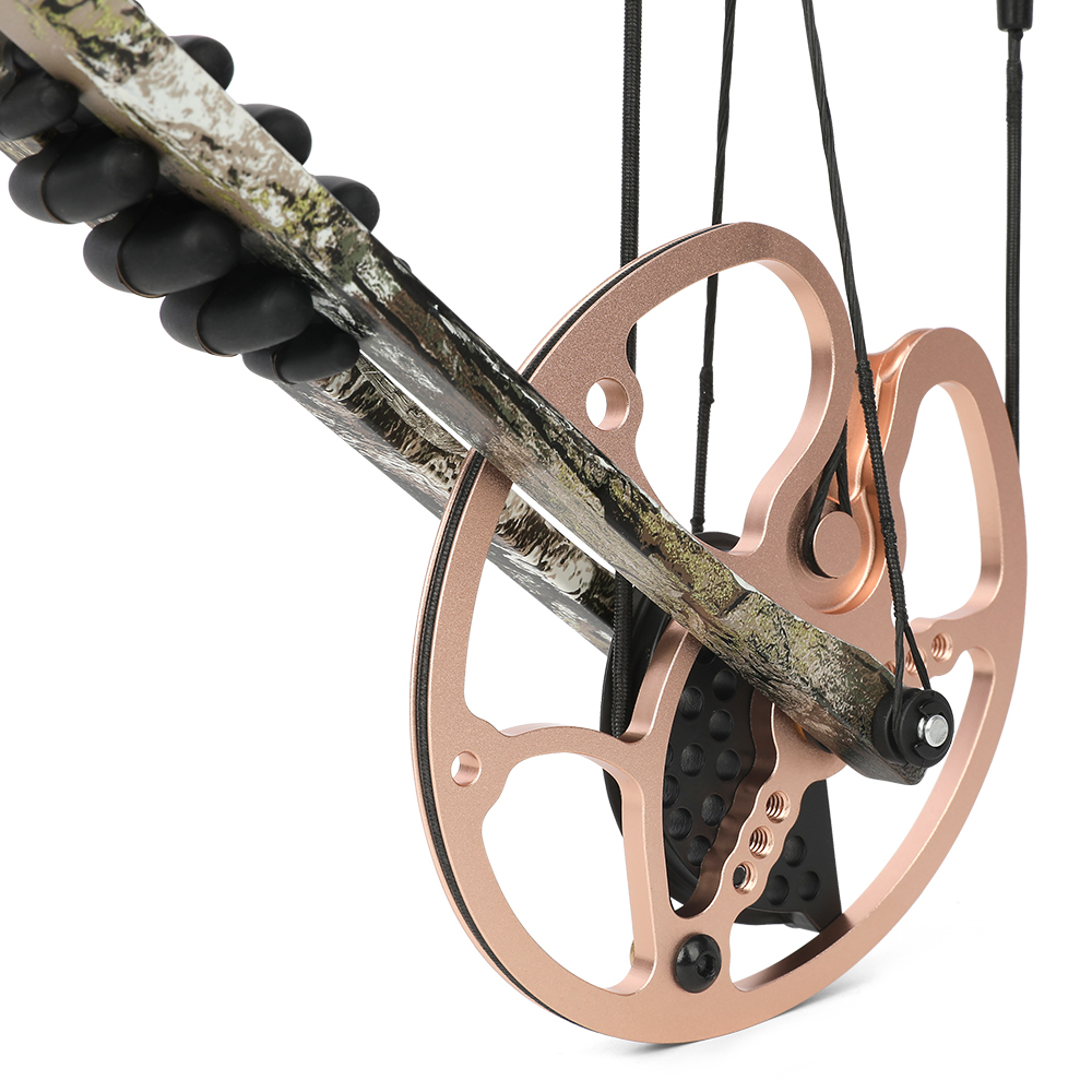 0-70lbs Compound Bow Set Adult Shooting Target Archery