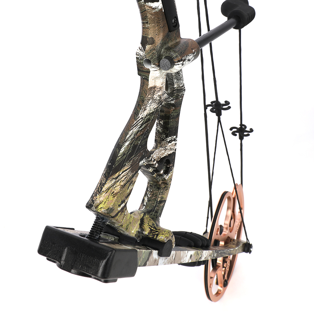 0-70lbs Compound Bow Set Adult Shooting Target Archery