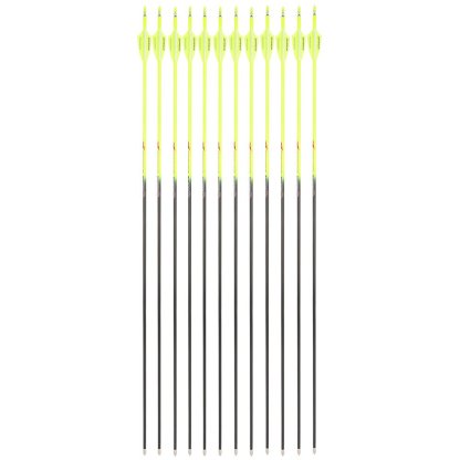 32" Pure Carbon Arrows SP300-600 3" Vanes Recurve Compound Bow Archery Hunting