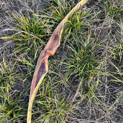 Traditional Recurve Bow Set 30-60lbs Archery Hunting Longbow 