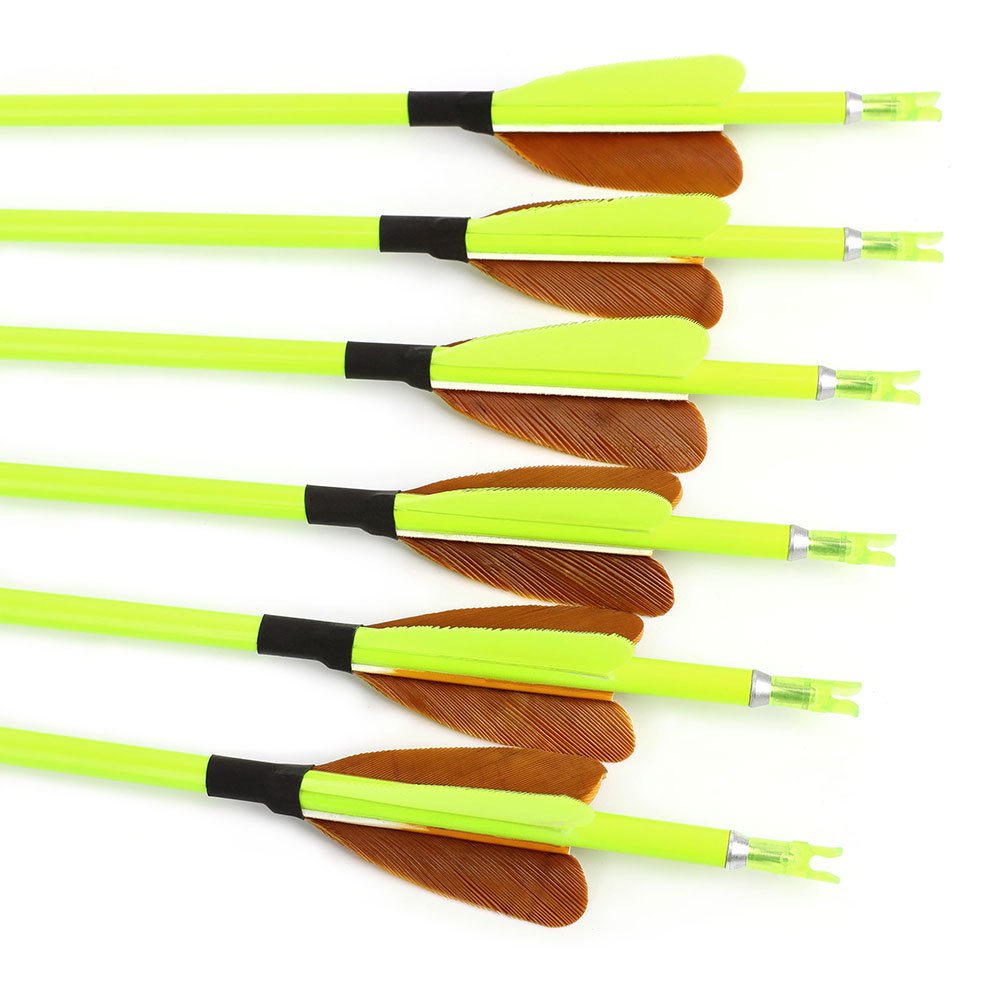 AME ARCHERY Heart-Shaped Nature Feather Pure Carbon Yellow Arrows(12pcs)