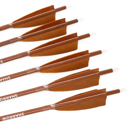 Carbon Mix Arrows, 12pcs, Spine 500/600, 30" Shaft, 4" Brown Shield Feathers, 100 Grain