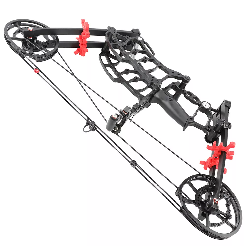 AME 40-65lbs Compound Bow Steel Ball Arrows Dual-use Hunting Fishing Archery RH LH