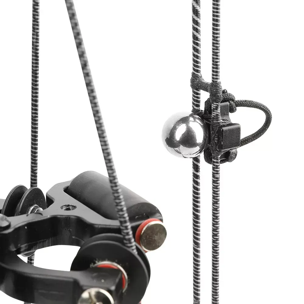 AME 40-65lbs Compound Bow Steel Ball Arrows Dual-use Hunting Fishing Archery RH LH