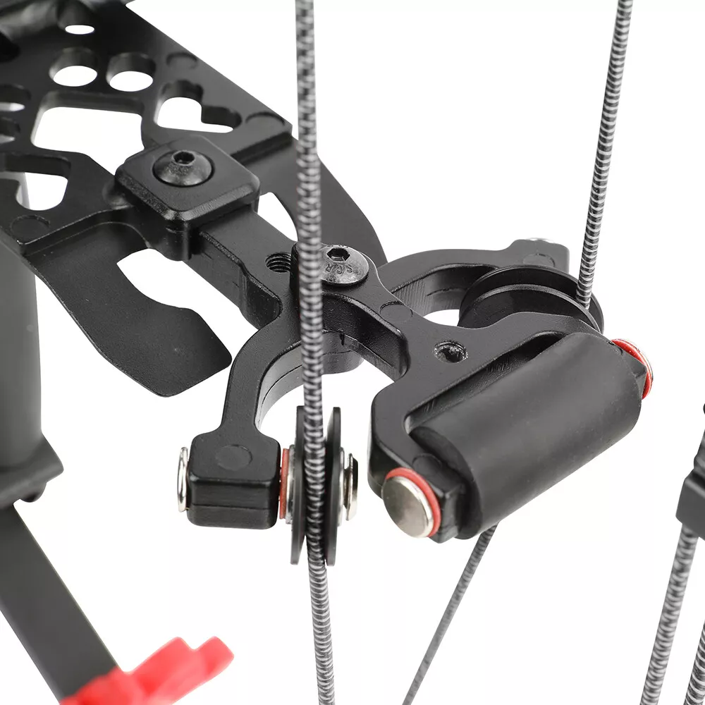 AME 40-65lbs Compound Bow Steel Ball Arrows Dual-use Hunting Fishing Archery RH LH