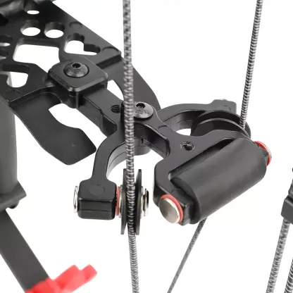 AME 40-65lbs Compound Bow Steel Ball Arrows Dual-use Hunting Fishing Archery RH LH