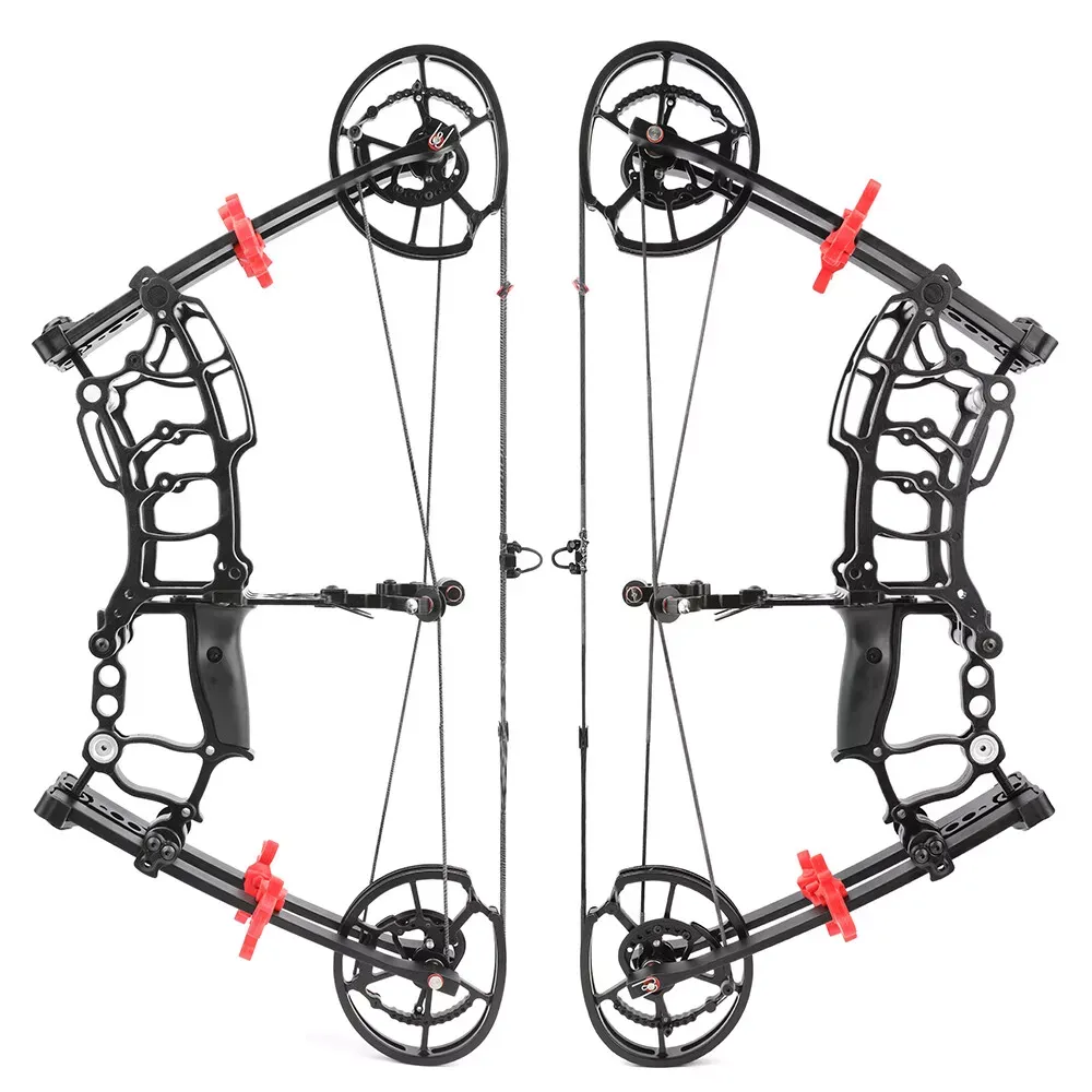 AME 40-65lbs Compound Bow Steel Ball Arrows Dual-use Hunting Fishing Archery RH LH