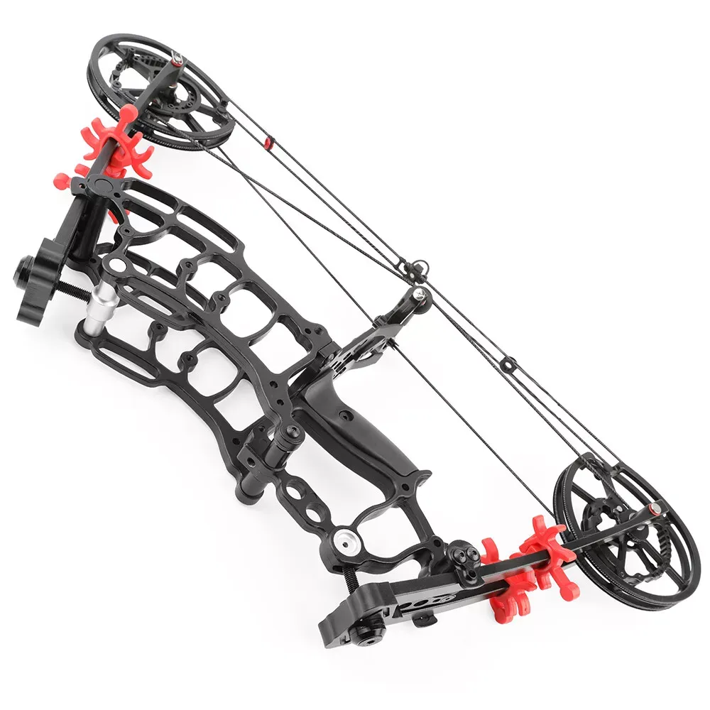 AME 40-65lbs Compound Bow Steel Ball Arrows Dual-use Hunting Fishing Archery RH LH