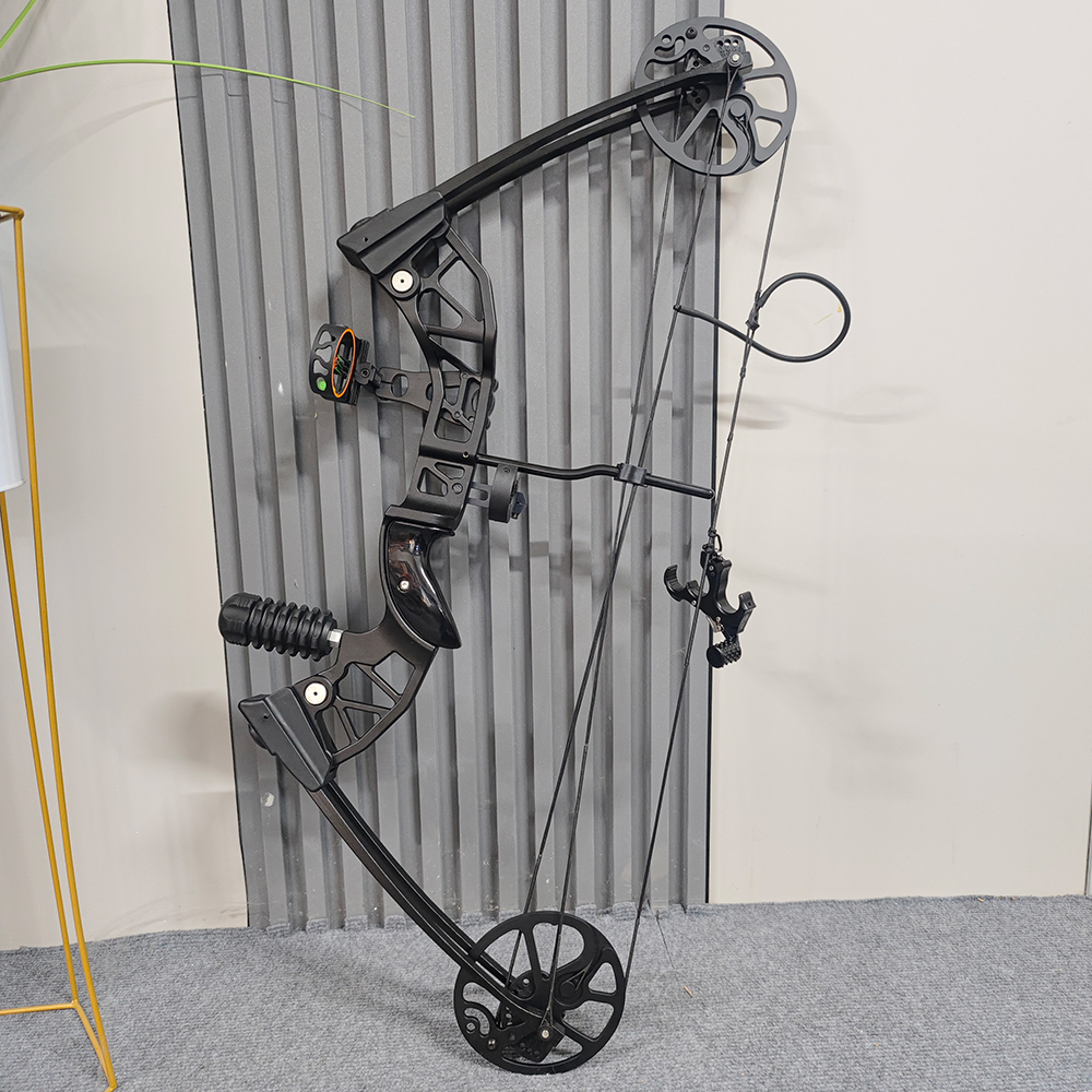 AME ARCHERY Entry-Level 38-70LBS Compound Bow Kit