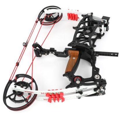 Dual-Purpose Compound Bow for Arrows & Steel Balls 30-75lb CNC