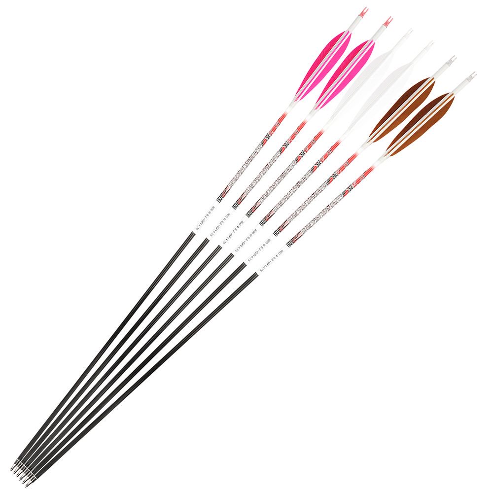 AME ARCHERY XT 5-Inch Target Feather Pure Carbon Arrows(12pcs)