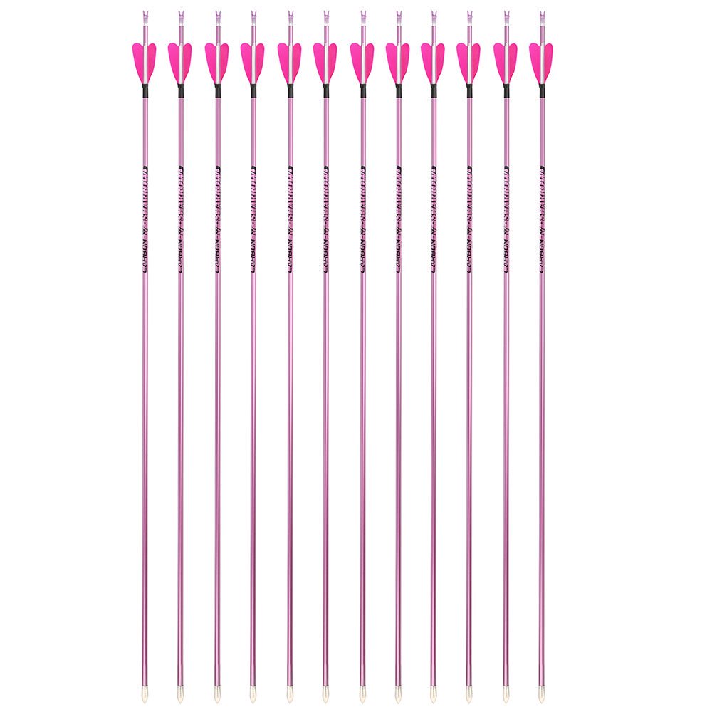 Fire Fox 2-inch Heart-Shaped True Feather Pure Carbon Arrows(12pcs)