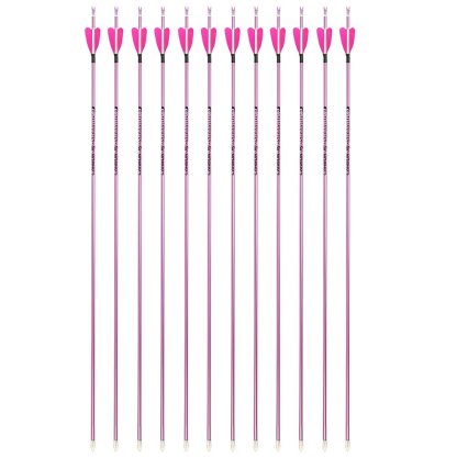 Fire Fox 2-inch Heart-Shaped True Feather Pure Carbon Arrows(12pcs)