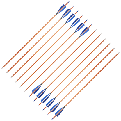 AME ARCHERY 500 Spine Bamboo-Pattern Mixed Carbon Arrows (2 Blue 1 White Real Feather, 12pcs)