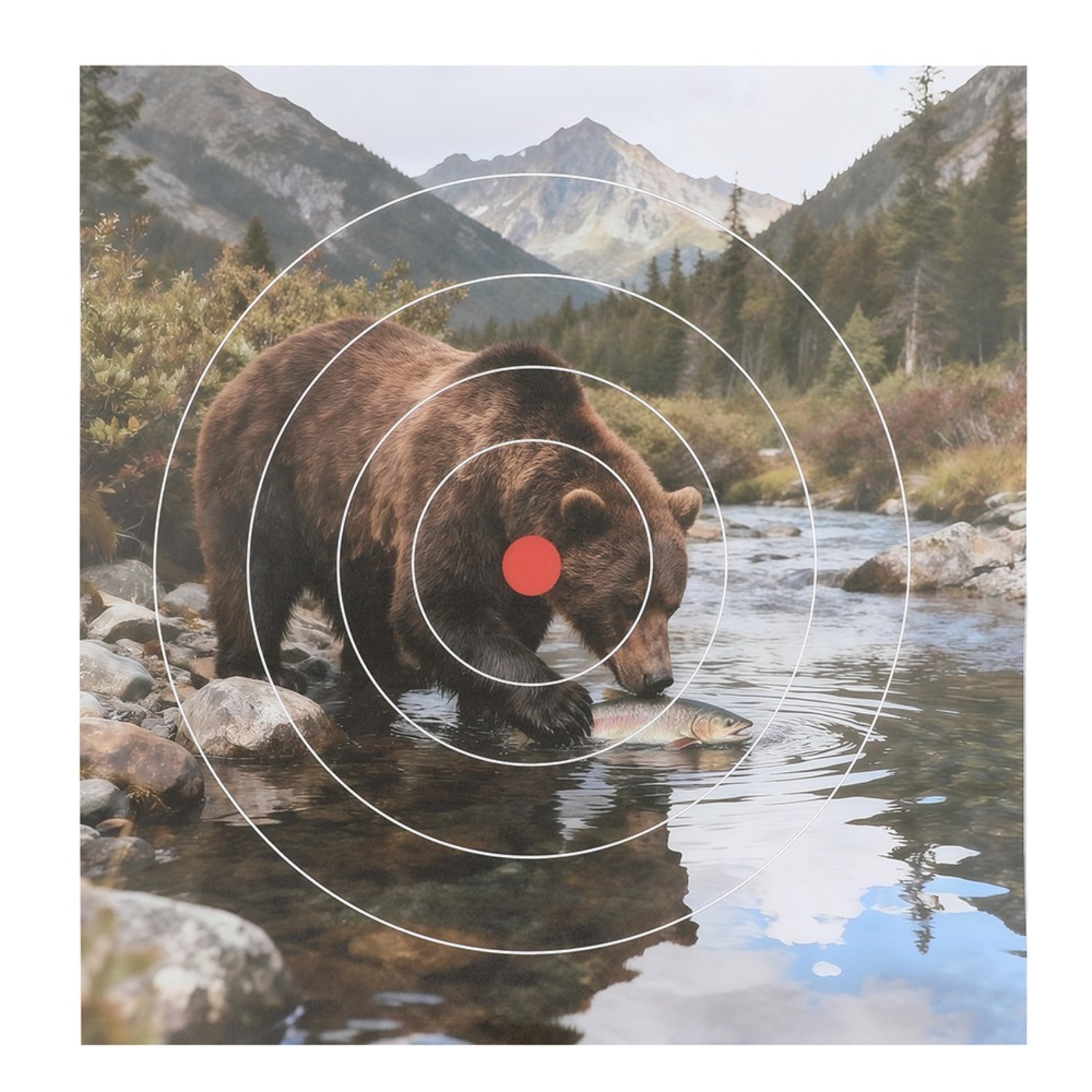 Archery Target Paper Face Animal Arrow Bow Shooting 40x40CM