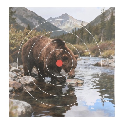 Archery Target Paper Face Animal Arrow Bow Shooting 40x40CM