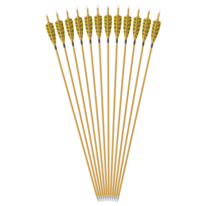 AME Pure Carbon Arrows Traditional Archery Hunting Season 6/12x