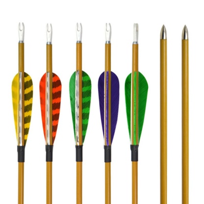 AME ARCHERY Turkey Feather Carbon Arrows Professional Arrows (12pcs)