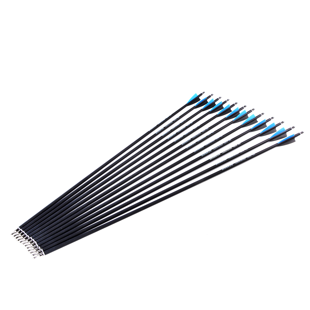 Archery 12pcs Mixed Carbon Arrows with Rubber Feathers and 6 Yellow Jade Arrowheads