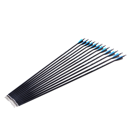 Archery 12pcs Mixed Carbon Arrows with Rubber Feathers and 6 Yellow Jade Arrowheads