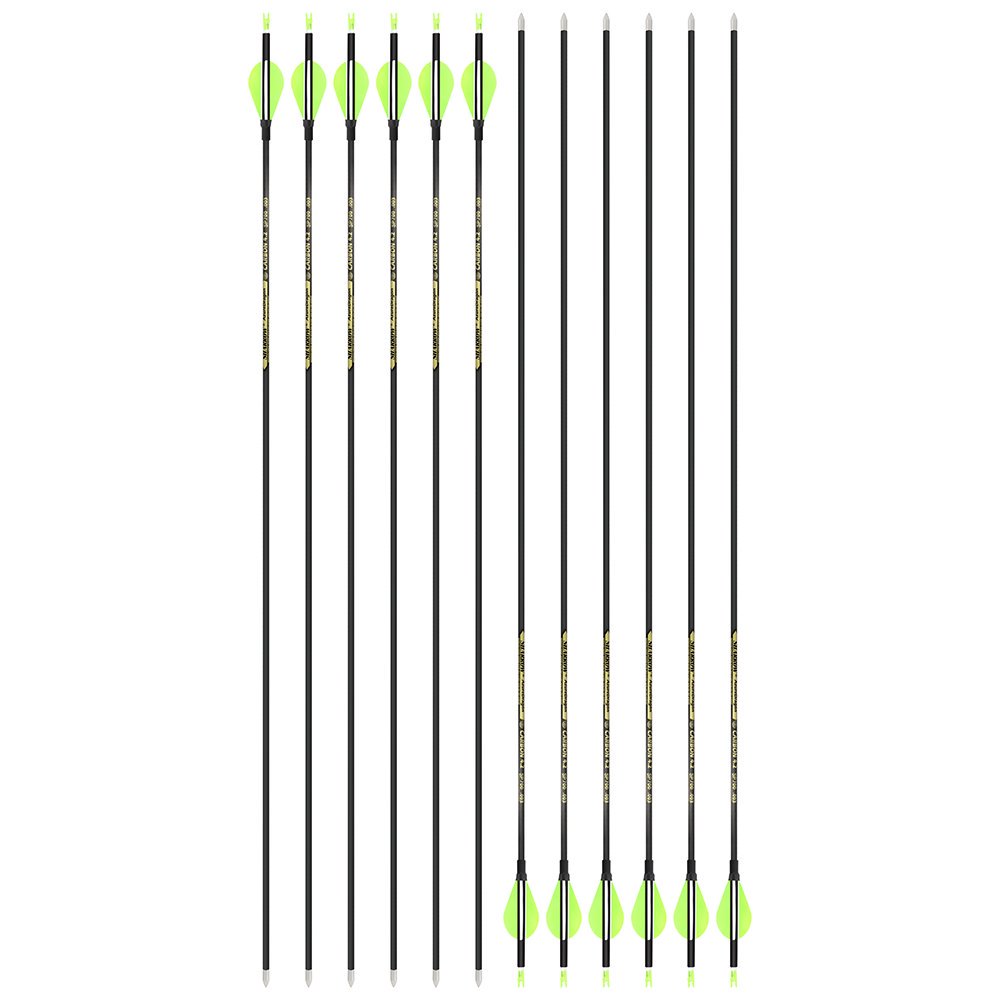 AME ARCHERY 2-Inch Drop-Shaped Nature Feather Pure Carbon Arrows – Spine 700–1000, 0.001'' (12pcs)