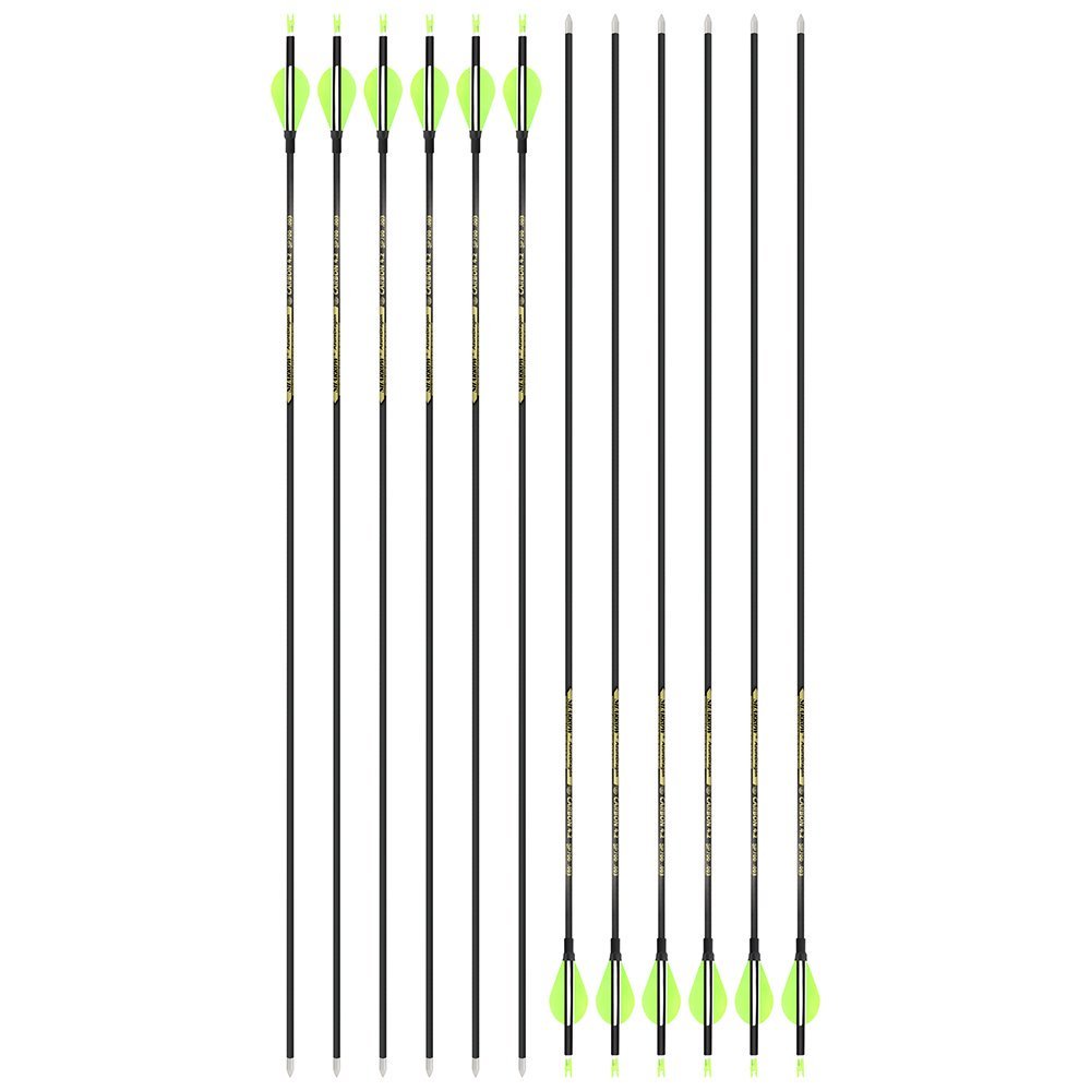 AME ARCHERY 2-Inch Drop-Shaped Nature Feather Pure Carbon Arrows – Spine 700–1000, 0.001'' (12pcs)