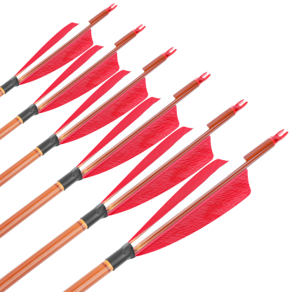 AME ARCHERY 500 Spine Bamboo-Pattern Mixed Carbon Arrows (2 Red 1 White Real Feather, 12pcs)