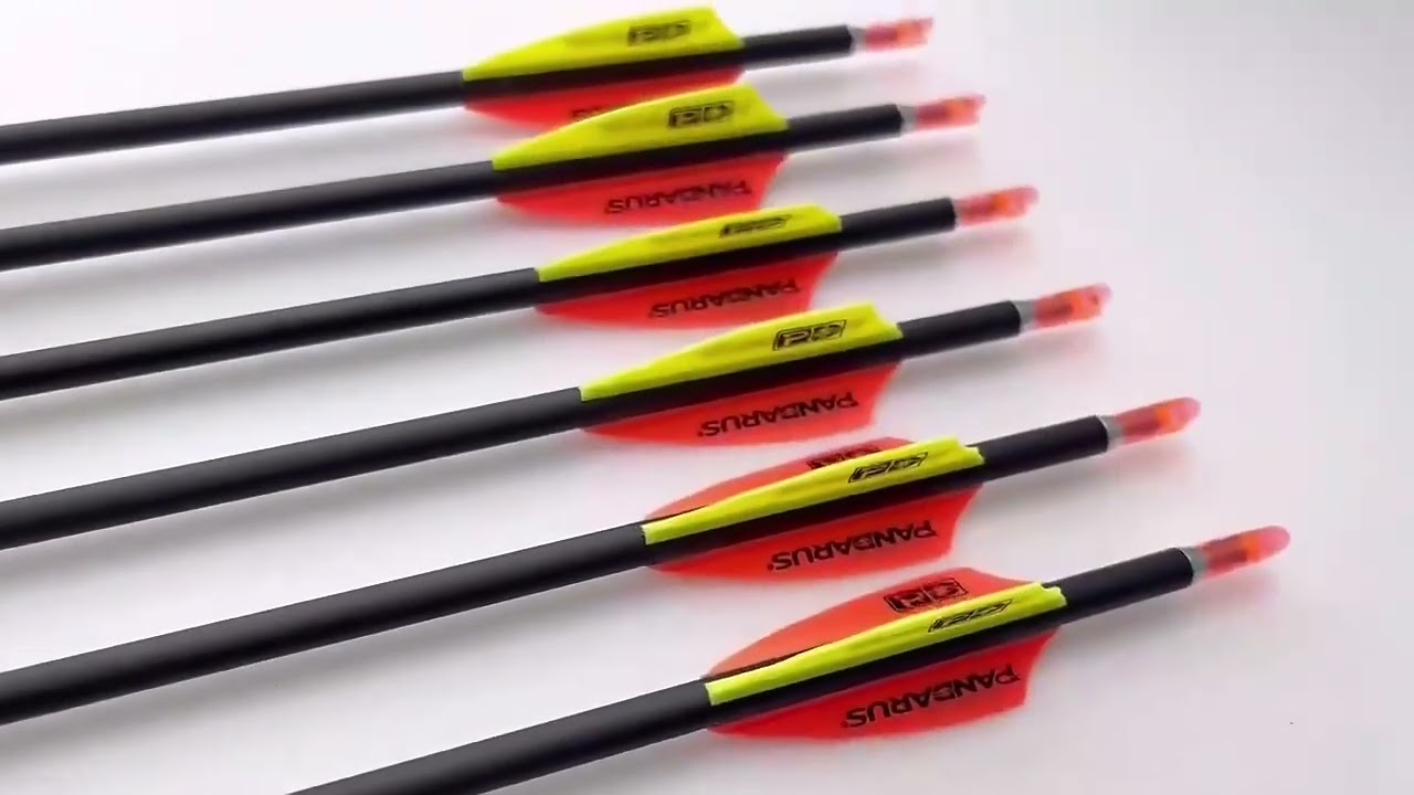 Pandarus INFINITY Series Carbon Arrows 