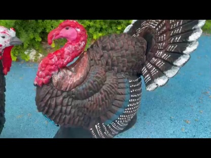 AME ARCHERY Turkey Archery Target – Rooster & Hen Models
