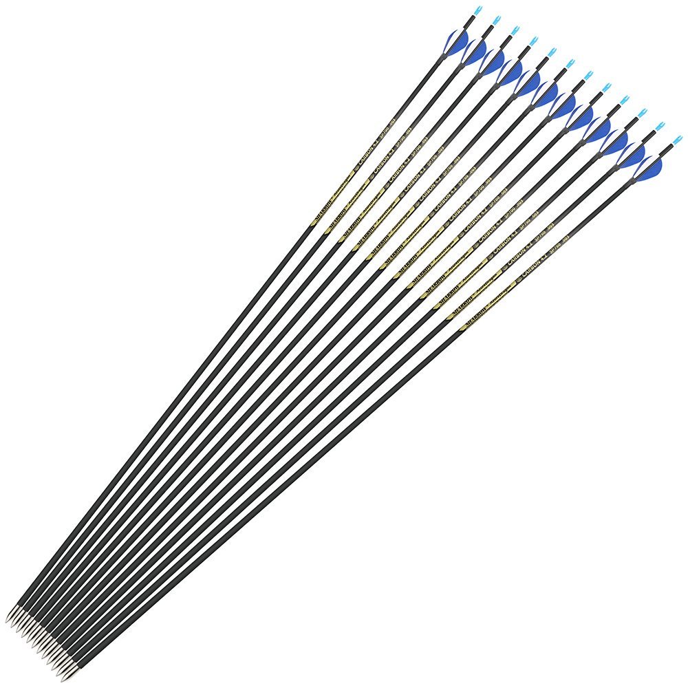 AME ARCHERY 2-Inch Drop-Shaped Nature Feather Pure Carbon Arrows – Spine 700–1000, 0.001'' (12pcs)