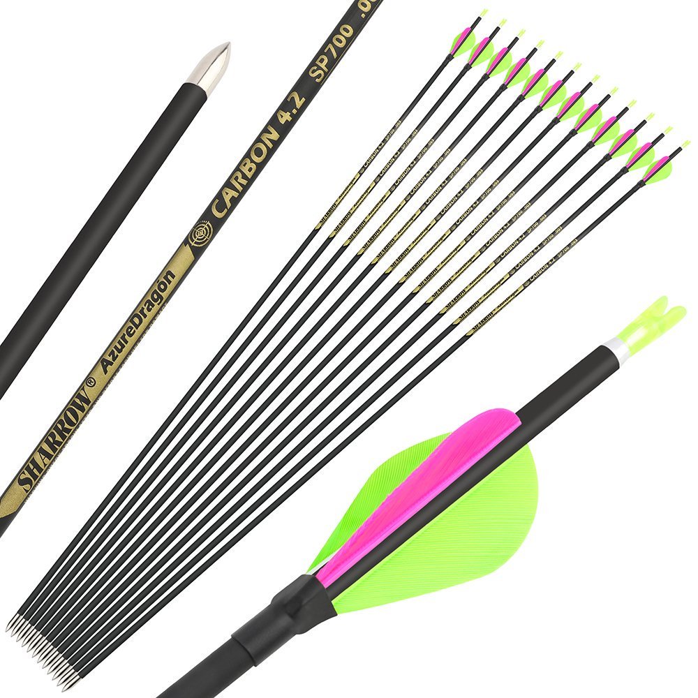 AME ARCHERY 2-Inch Drop-Shaped Nature Feather Pure Carbon Arrows – Spine 700–1000, 0.001'' (12pcs)
