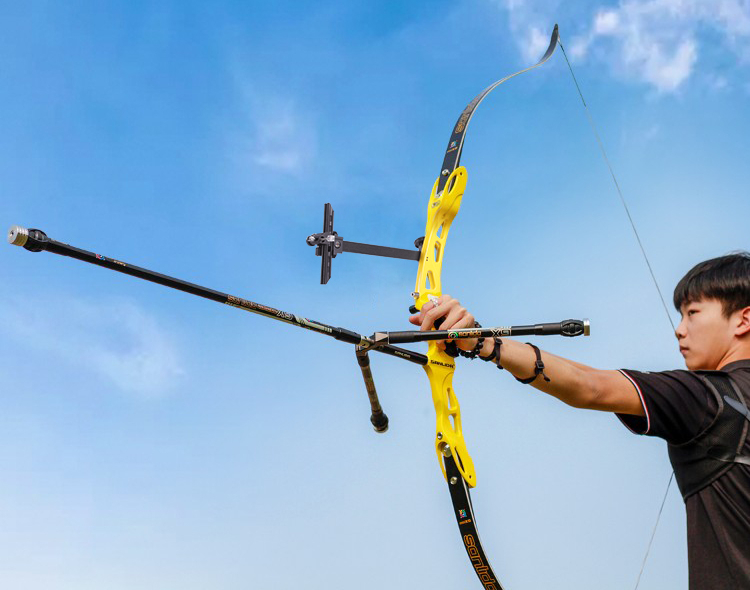 Sanlida X9 Recurve Durable & Responsive ILF Limbs