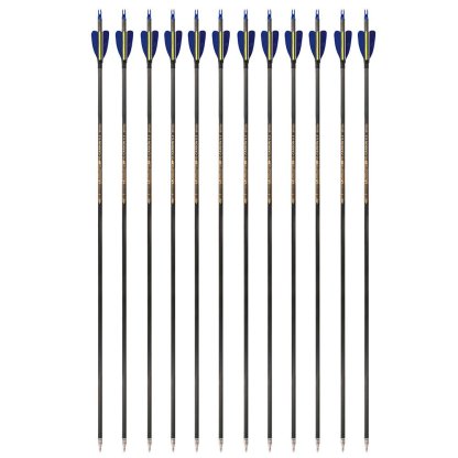 AME ARCHERY 2-inch Heart-Shaped True Feather Pure Carbon Arrows(12PCS)