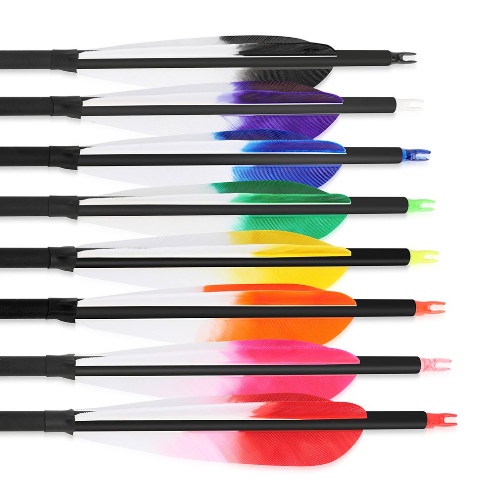AME ARCHERY 5-Inch Dye Feather Carbon Arrows(12pcs)