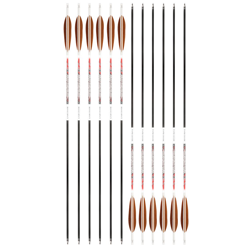 AME ARCHERY XT 5-Inch Target Feather Pure Carbon Arrows(12pcs)