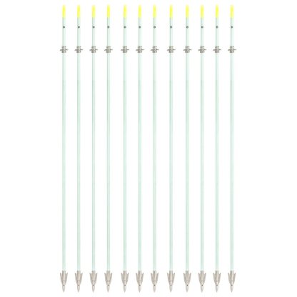 AME ARCHERY Luminous Bowfishing Arrows – Short Head(12pcs)