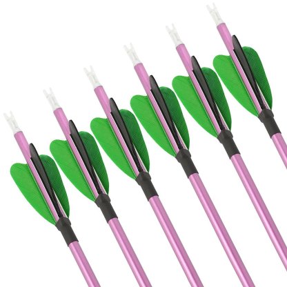 Fire Fox 2-inch Heart-Shaped True Feather Pure Carbon Arrows(12pcs)