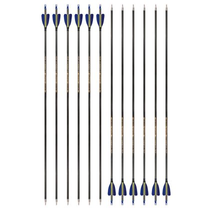 AME ARCHERY 2-inch Heart-Shaped True Feather Pure Carbon Arrows(12PCS)