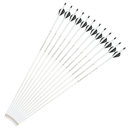 AME ARCHERY WML2 600 Spine 2-Inch 2 Black 1 White Drop Vane Carbon Arrows (12pcs)