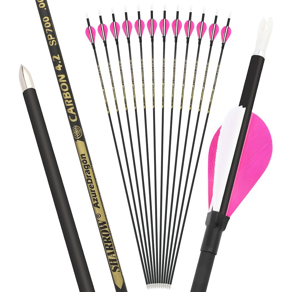 AME ARCHERY 2-Inch Drop-Shaped Nature Feather Pure Carbon Arrows – Spine 700–1000, 0.001'' (12pcs)