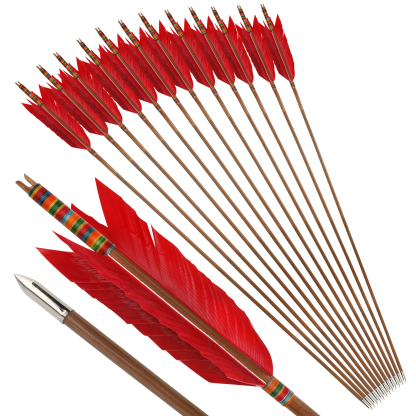 Traditional Bamboo Target Arrows, 33.5", 8mm, 4x4" Turkey Feathers, 12pcs Set