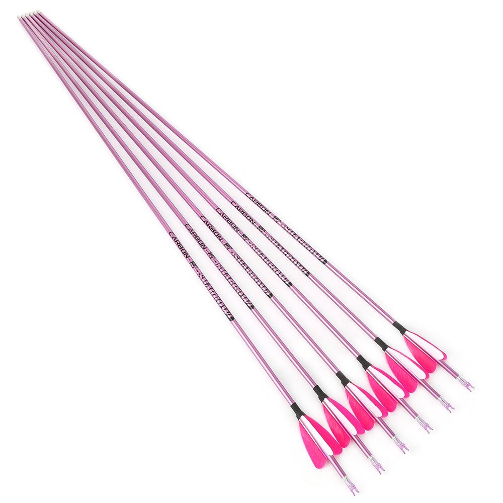 Fire Fox 2-inch Heart-Shaped True Feather Pure Carbon Arrows(12pcs)