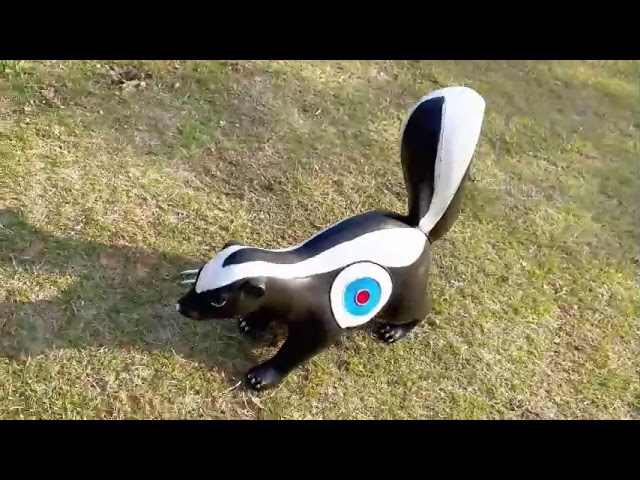 AME ARCHERY 3D Skunk Archery Target