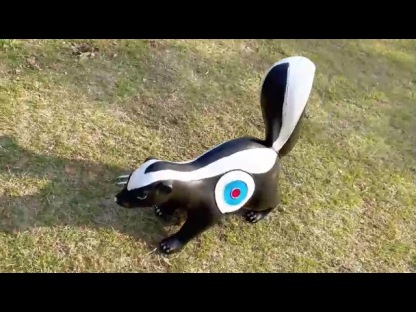 AME ARCHERY 3D Skunk Archery Target
