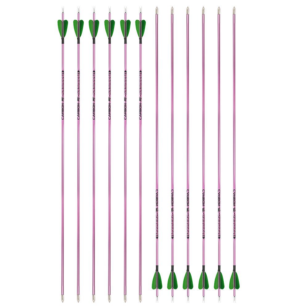 Fire Fox 2-inch Heart-Shaped True Feather Pure Carbon Arrows(12pcs)