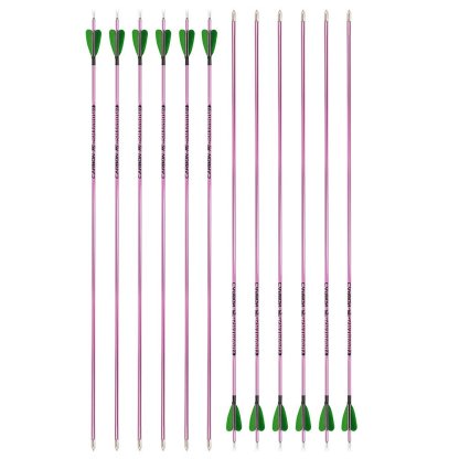 Fire Fox 2-inch Heart-Shaped True Feather Pure Carbon Arrows(12pcs)